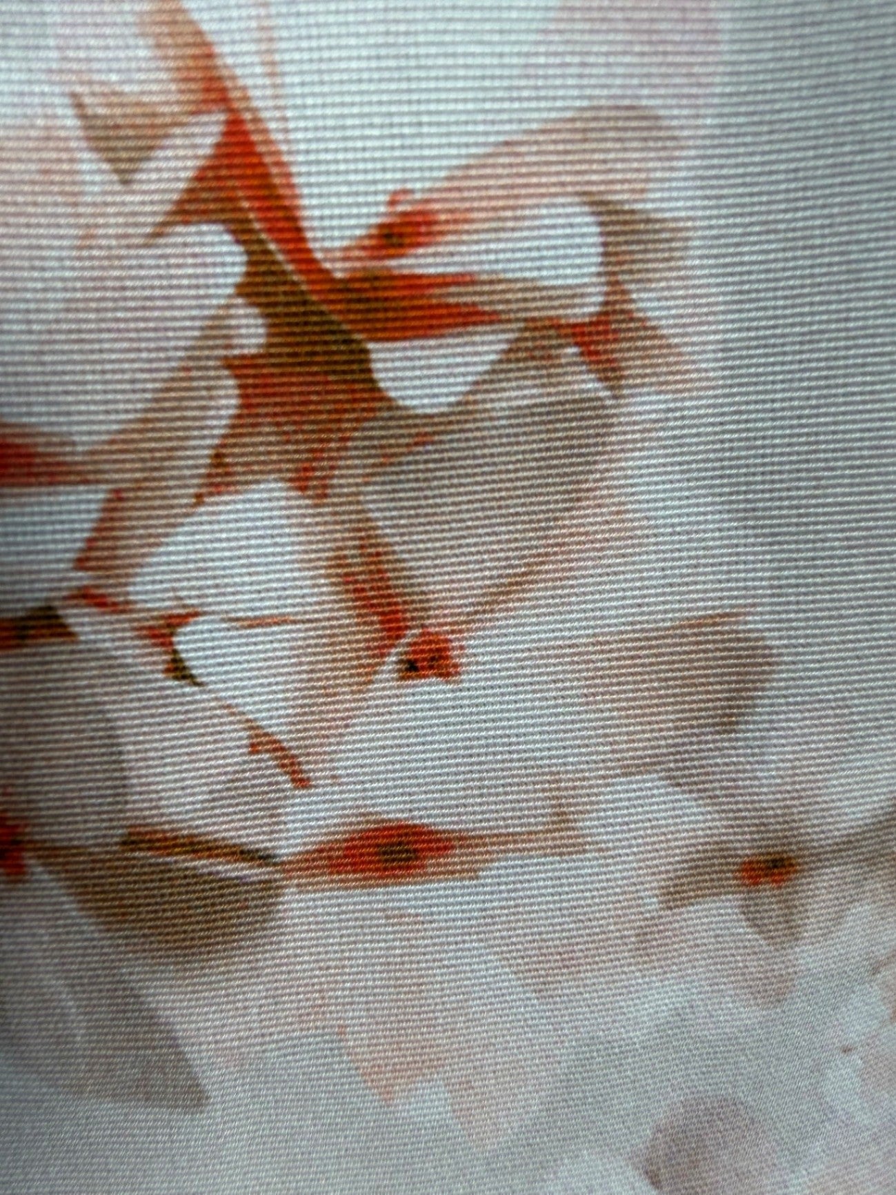 Max Mara Studio | Kleid | Gr. 38 | 