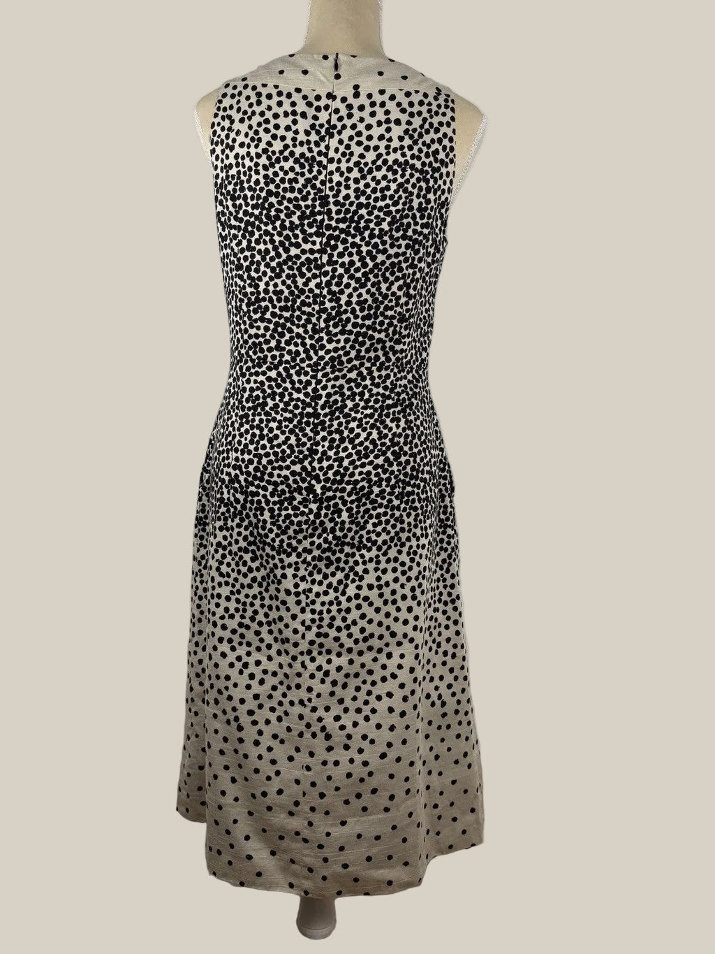 RENE LEZARD | Kleid | 40 |Schwarz, Creme